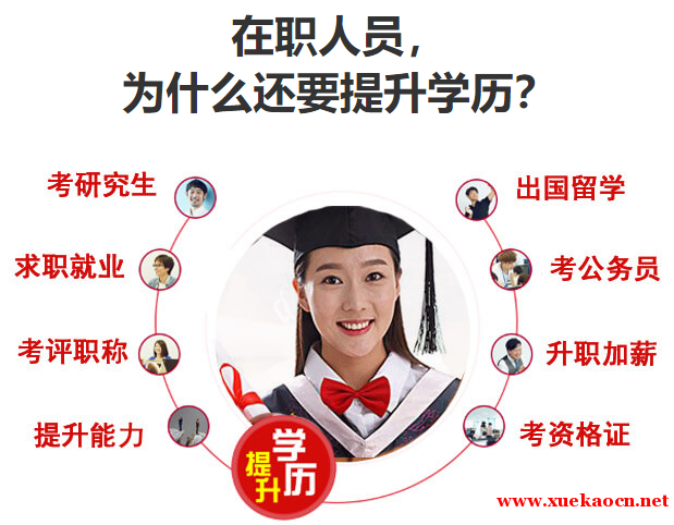 职场学习新选择：学历提升咨询成为热门
